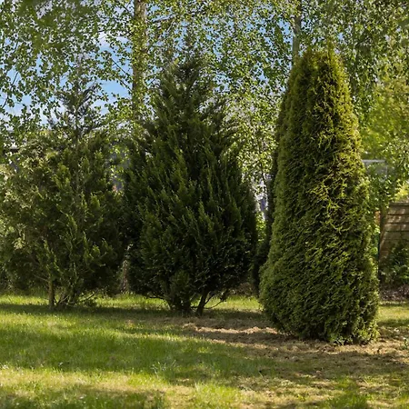 Σπίτι διακοπών Lovely In Sydals With Sauna *